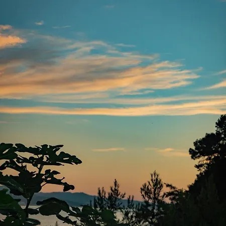 Cabanon Moderne, Les Pieds Dans L'eau, 2 *