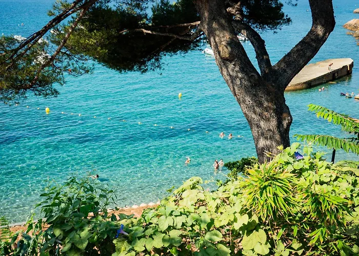 Cabanon Moderne, Les Pieds Dans L'eau, 2 Ferienhaus Le Pradet